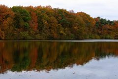 Gerry-van-Meurs-herfstkleuren5