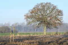 Kees-van-der-Lee-2-Halse-Barrier-29-11-24