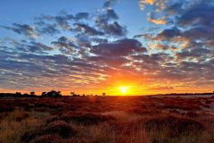 Leo-van-de-Veerdonk-3-Zonsondergang-Veluwe-21