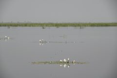 Kees-van-der-Lee-3meer-langs-de-Gambia-181123