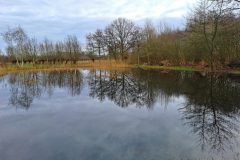 Leo-V-Poel-Wielsekamp-
