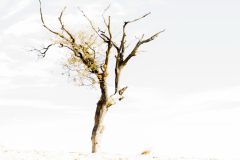 Henk-Valk-2-highkey1