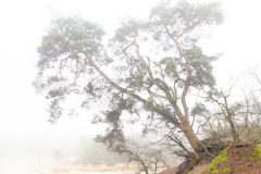 Henk-Valk-4-highkey2-0074