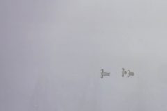 Gidi-van-Osch-Eendjes-in-de-mist