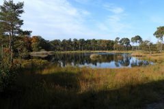 Leo-van-de-Veerdonk-1-