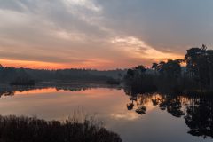 Zonsopkomst Oisterwijjkse bossen en vennen - Groot Goorven