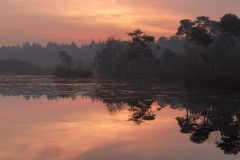 Zonsopkomst Oisterwijjkse bossen en vennen - Groot Goorven