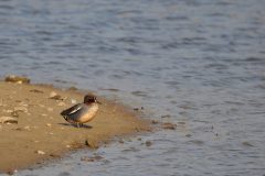 Henk-Vennix-1-Wintertaling-DSC_83700