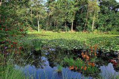 Leo-van-de-Veerdonk-2-