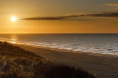 RvanEerd-NiB-ClubAvond-01-RvanEerd-20240216-184637-Canon-EOS-R-_MG_5623