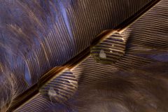 Monique-Achterberg_02_Reflexion_1066182_St_NiB_Mei_2025