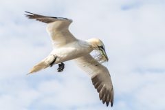 Henk-Valk-Jan-van-Gent_1-0990