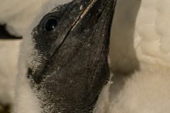 Henk-Valk-Jan-van-Gent_2-1239