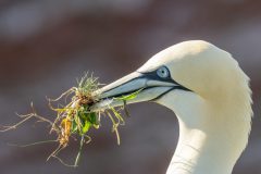 Henk-Valk-Jan-van-Gent_3-1268