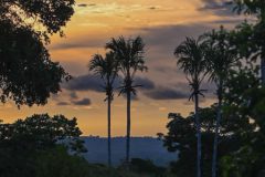 Kees-van-der-Lee-3-aug-25-El-nido-del-sol