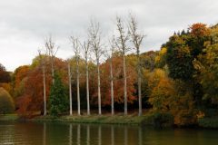 Rob-van-Eerd-04-_MG_0606