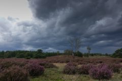 Gerry-van-Meurs-00901