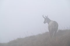 Hans-van-de-Griendt-03-ZF15840