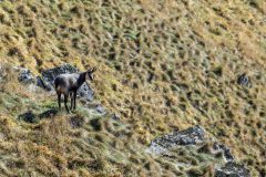 Hans-van-de-Griendt-04-ZF15703