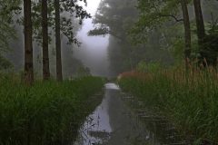 Leo-van-de-Veerdonk-Wijboschbroek