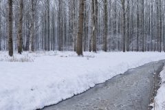 Hans-van-de-Griendt-02-Wijboschbroek