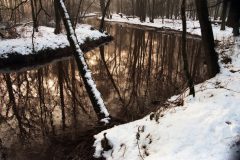 Jan-Albert-Hellings-2026-02-06-3-Beerze-analoog