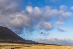 Rob-van-Eerd-01-20240421-211907-Canon-EOS-R-_MG_5742