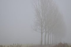 Jan-Albert-Hellings-3-zandpad-Gemonde