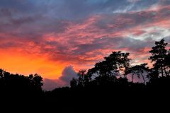 Jan-Albert-Hellings-5-zonsondergang-Kinderbos