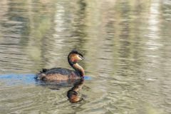 Henk-Valk-20260329-0016