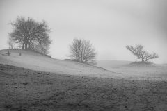 Koen-van-de-Ven-Drunense-Duinen-in-de-mist