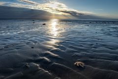 Koen-van-de-Ven-Seascape