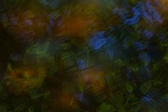 Jan-Albert-Hellings-2026-07-03-2-reflecties-Rosep