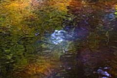 Jan-Albert-Hellings-2026-09-04-4-Waterspiegeling-Rosep
