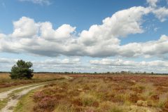 Strabrechtse Heide