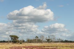 Strabrechtse Heide