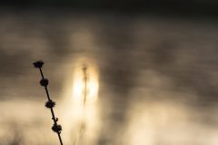 F3-Willy-van-Lanen-