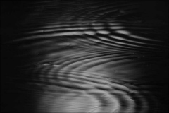 56870006_2068209463228270_3999807806159978496_n