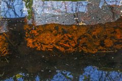 ChrisVeen_DSC3911