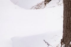 Gidi-na-sneewstorm