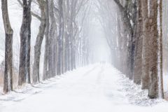 Gidi-sneeuwstorm