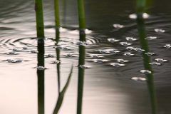 MAH_02_Dansende-Schrijvertjes_NiB_april2021_DSC0670