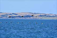 H.V.B.-april_9026