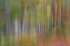 HVX2-Beukenlaan-DSC_77077c