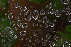waterdruppels-gera
