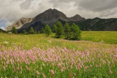 Jan-Albert-Hellings-2023-12-01-2-Col-de-Champs-Mercantour
