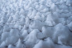 Mignon-1-Sneeuwpatroon