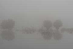 GES_1-mist