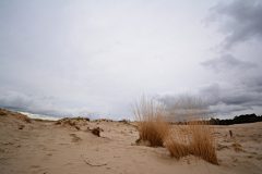 HVB_No1