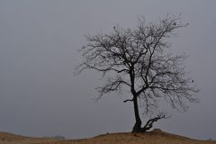 HVB_No3